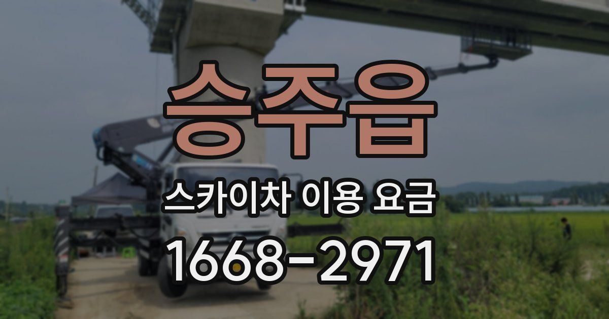 승주읍 스카이차 이용 요금