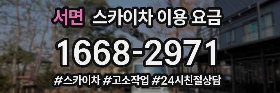 서면 스카이차 이용 요금
