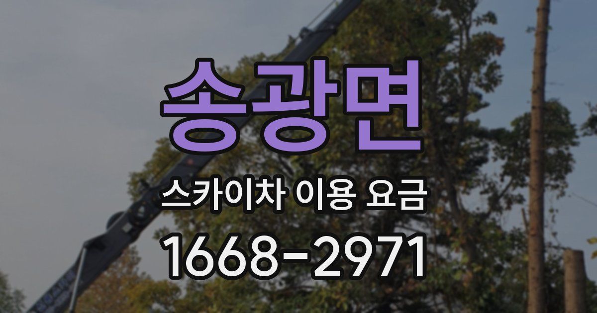 송광면 스카이차 이용 요금