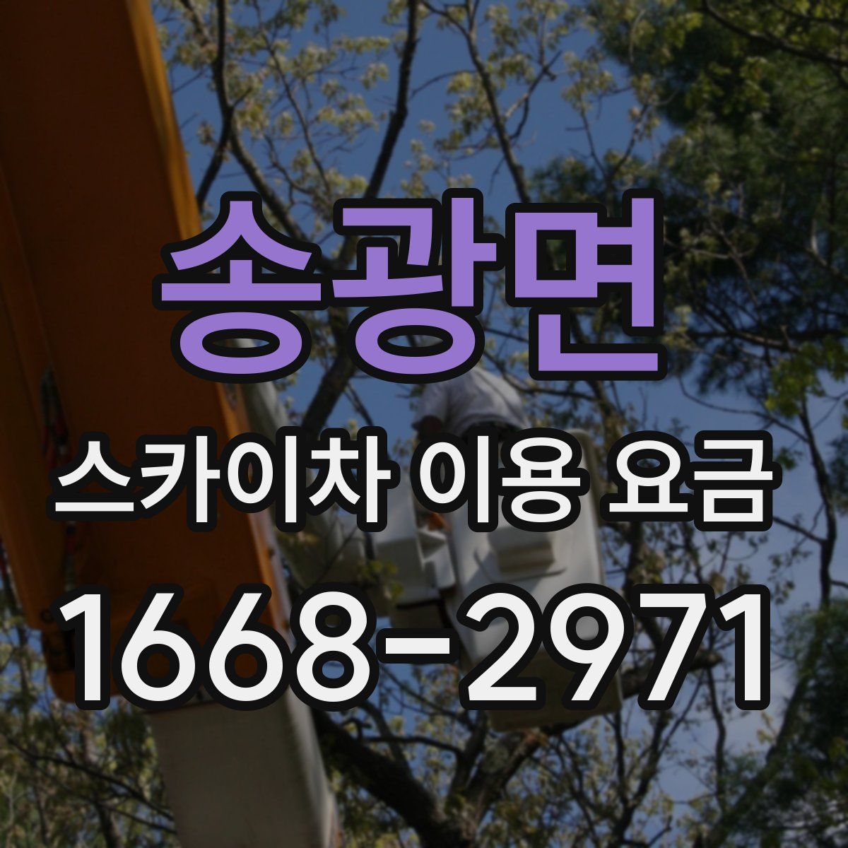 송광면 스카이차 이용 요금