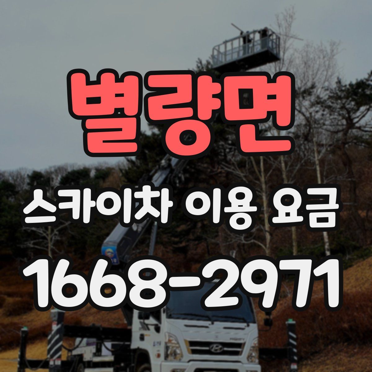 별량면 스카이차 이용 요금