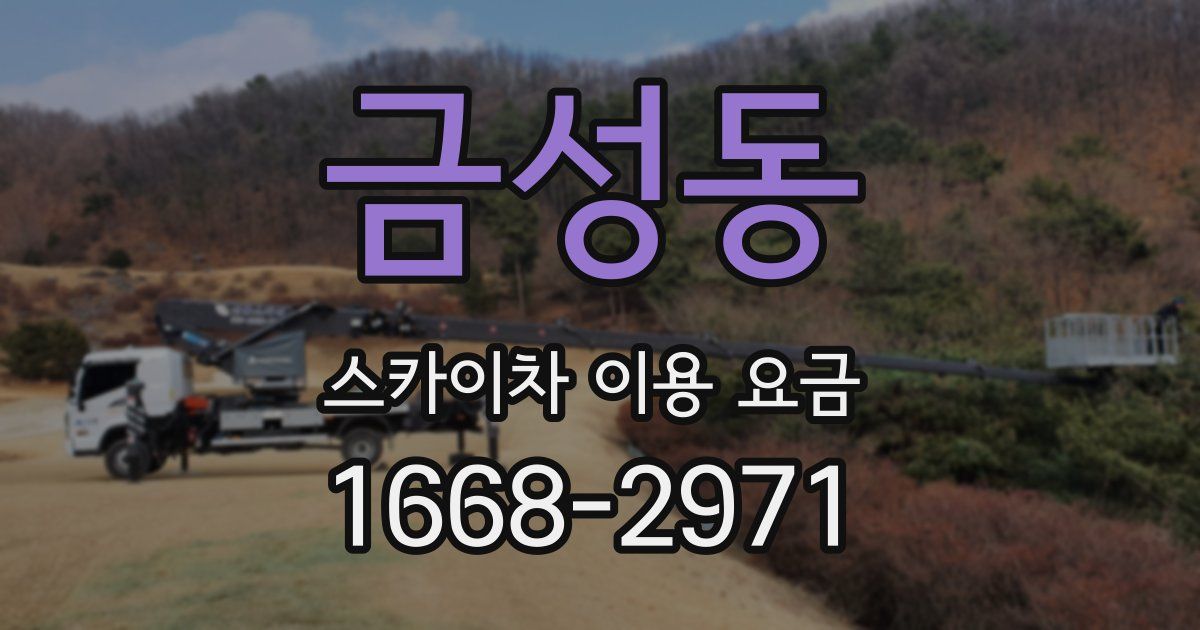 금성동 스카이차 이용 요금