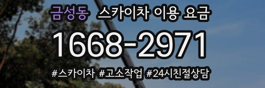 금성동 스카이차 이용 요금