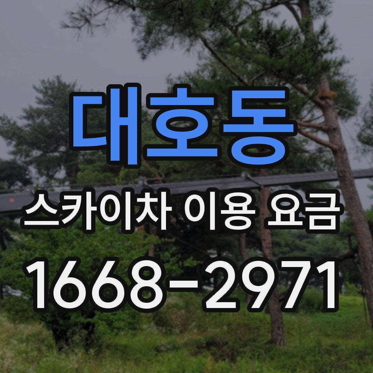 대호동 스카이차 이용 요금