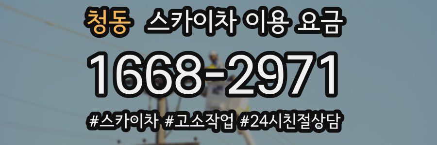 청동 스카이차 이용 요금