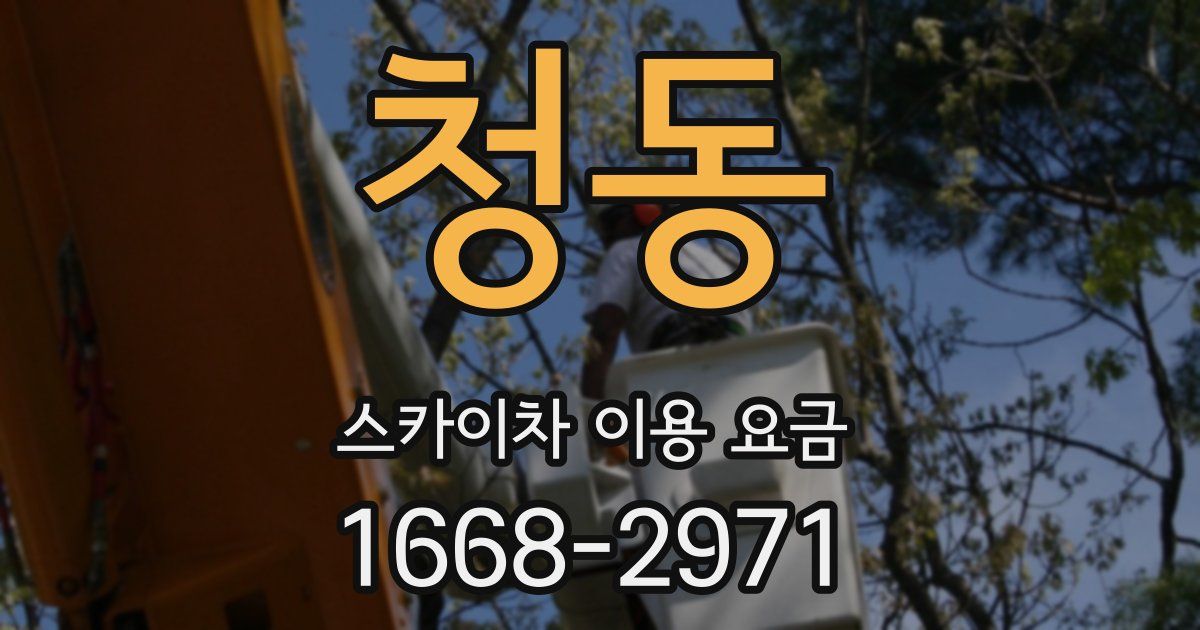청동 스카이차 이용 요금