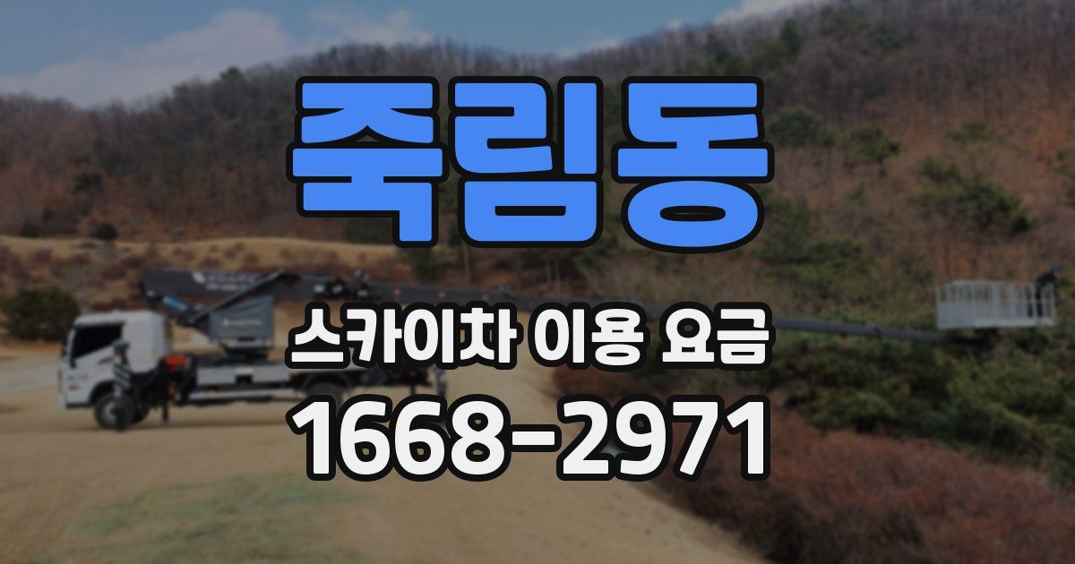 죽림동 스카이차 이용 요금
