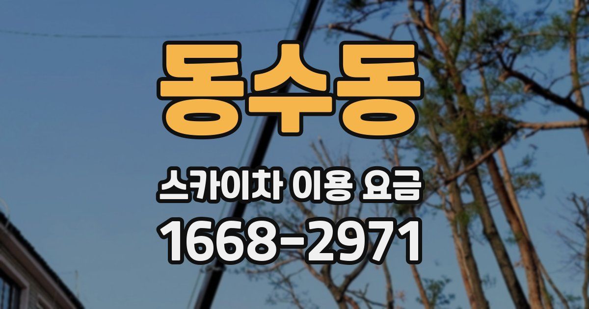 동수동 스카이차 이용 요금