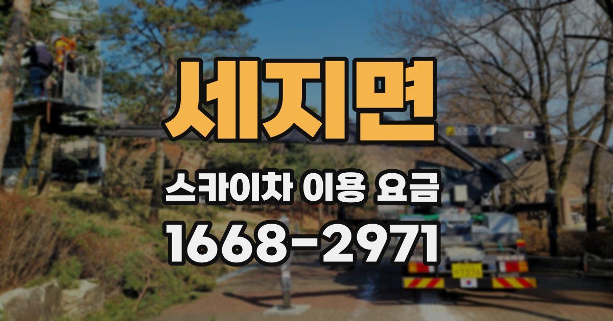 세지면 스카이차 이용 요금