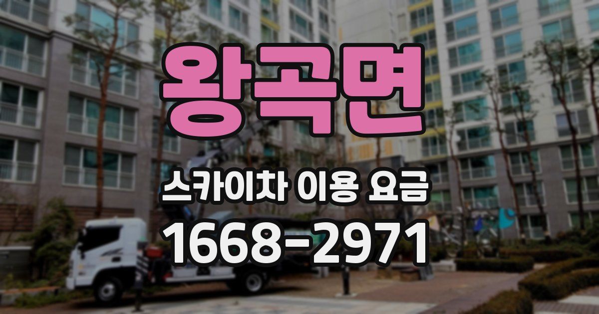 왕곡면 스카이차 이용 요금