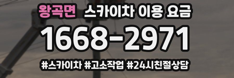 왕곡면 스카이차 이용 요금