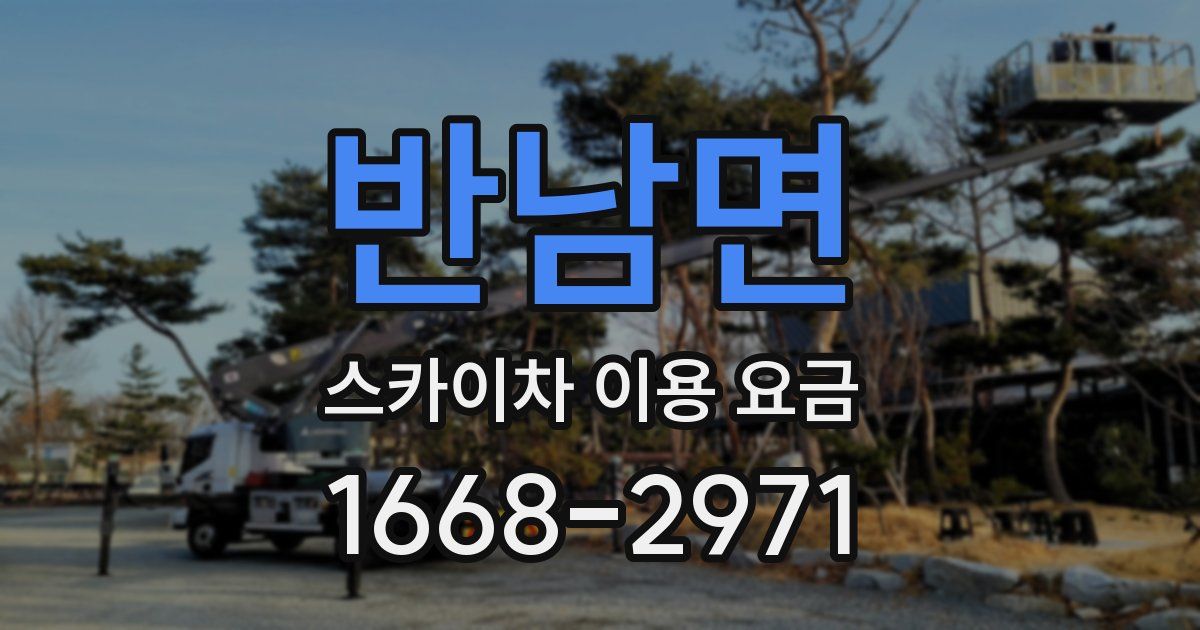 반남면 스카이차 이용 요금