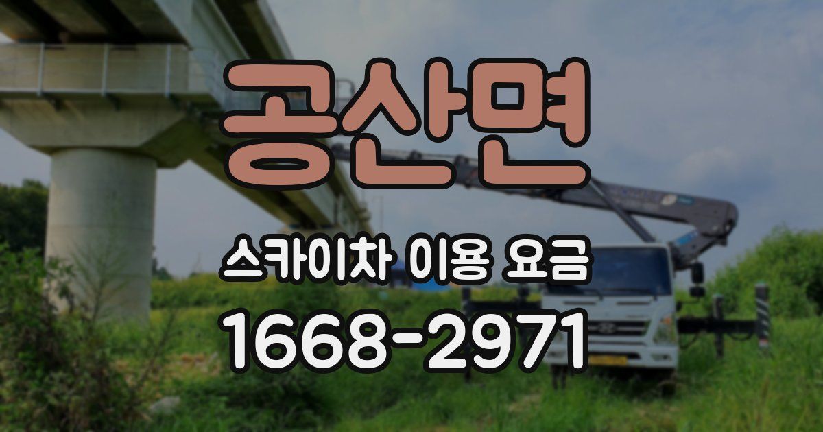공산면 스카이차 이용 요금