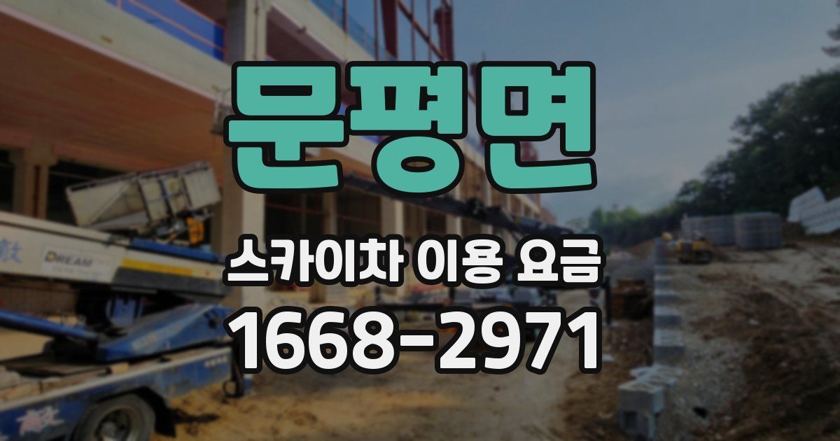 문평면 스카이차 이용 요금