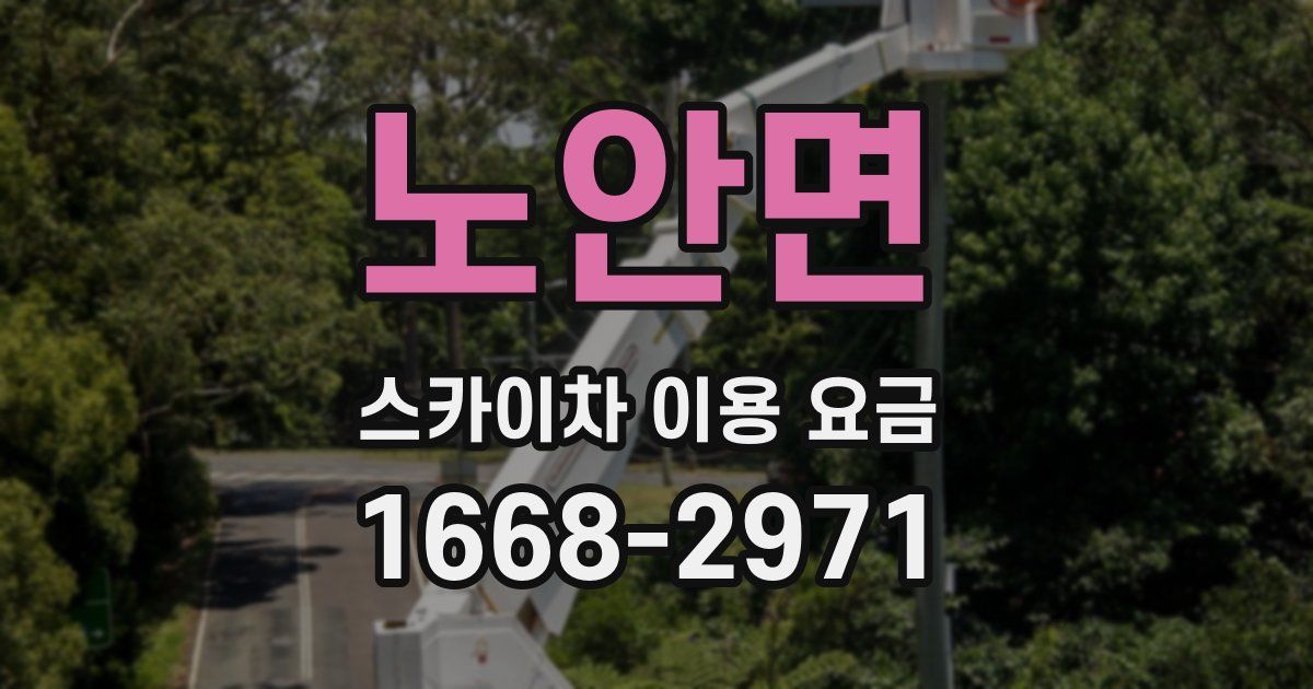 노안면 스카이차 이용 요금