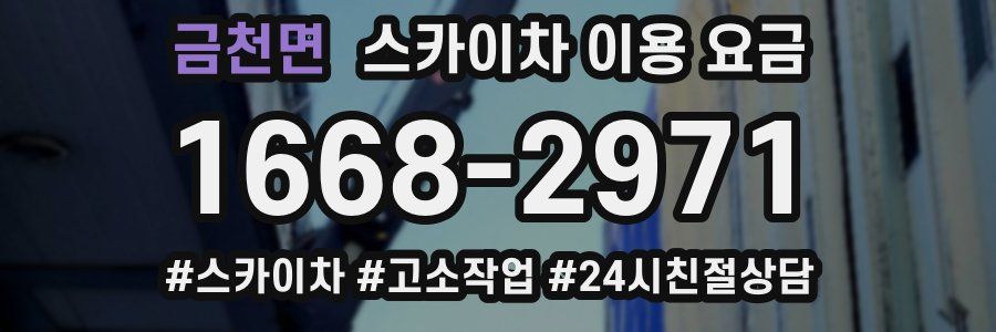 금천면 스카이차 이용 요금