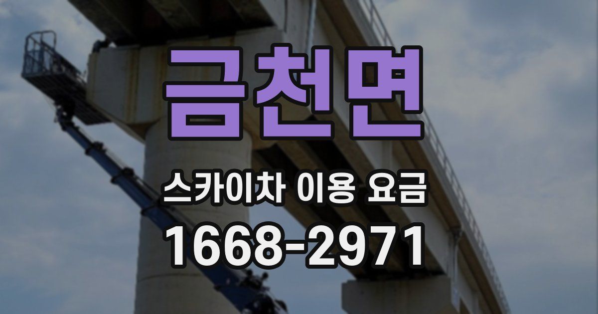 금천면 스카이차 이용 요금