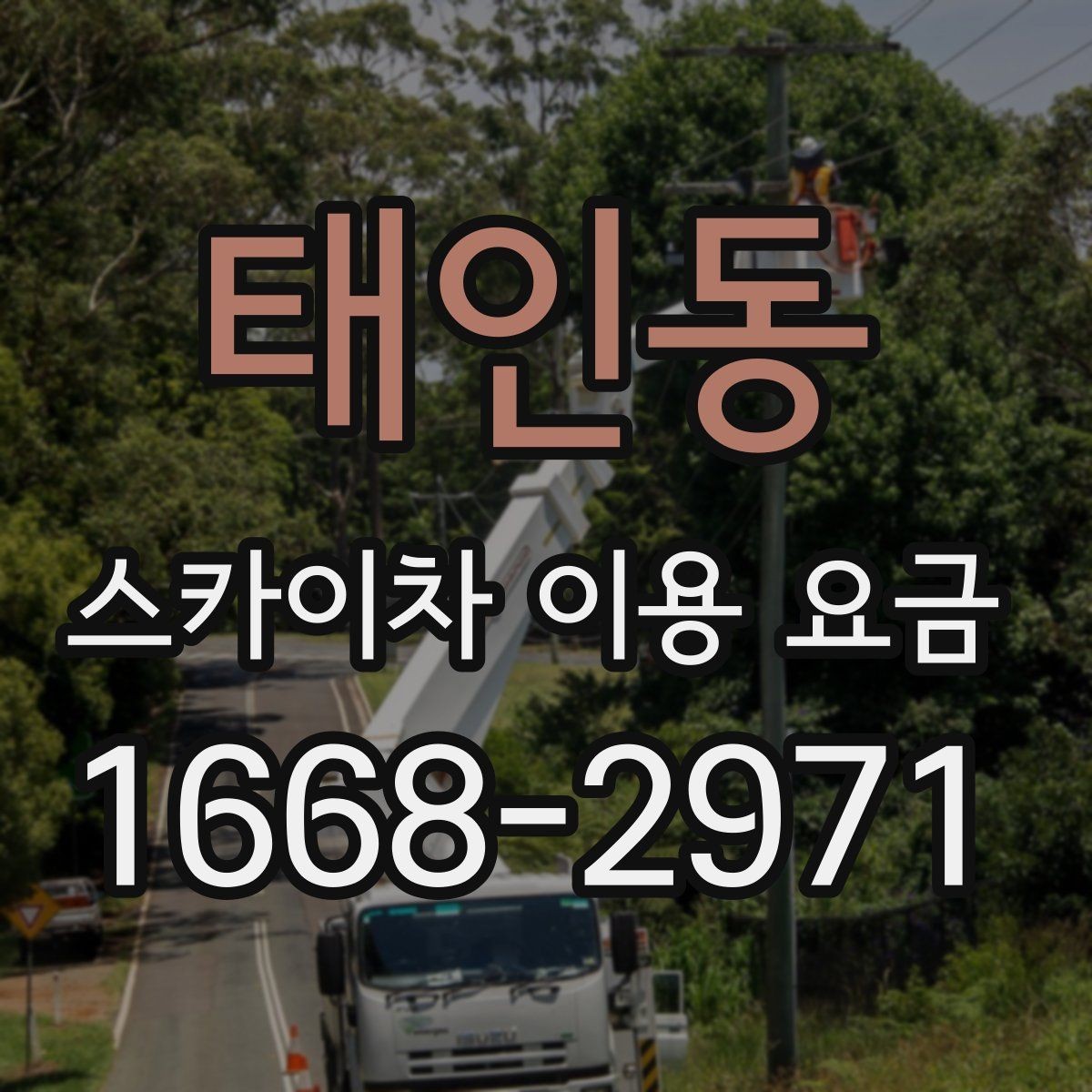 태인동 스카이차 이용 요금 비교할 때 포함되는 서비스 범위