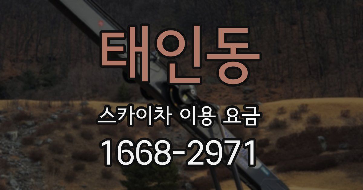 태인동 스카이차 이용 요금