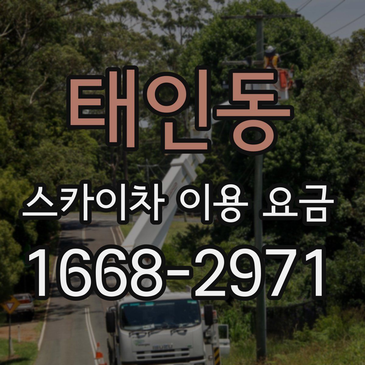 태인동 스카이차 이용 요금