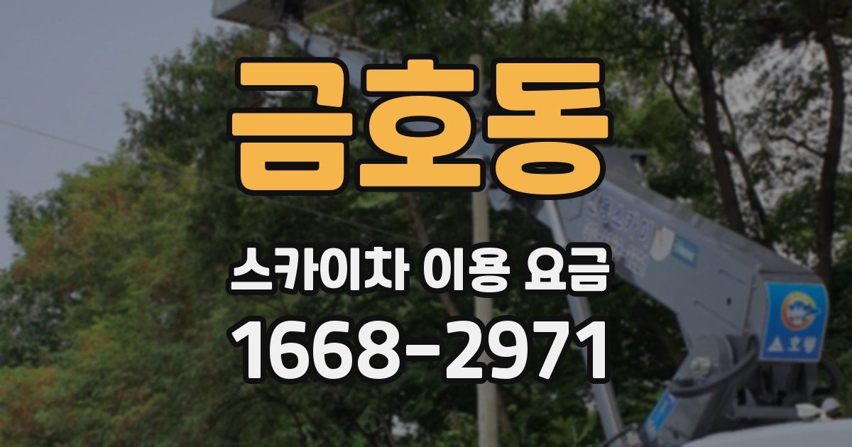 금호동 스카이차 이용 요금