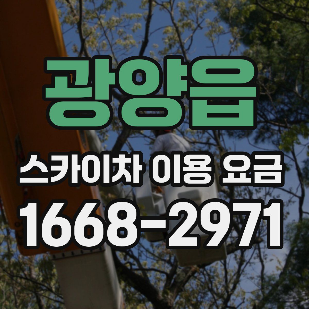 광양읍 스카이차 이용 요금