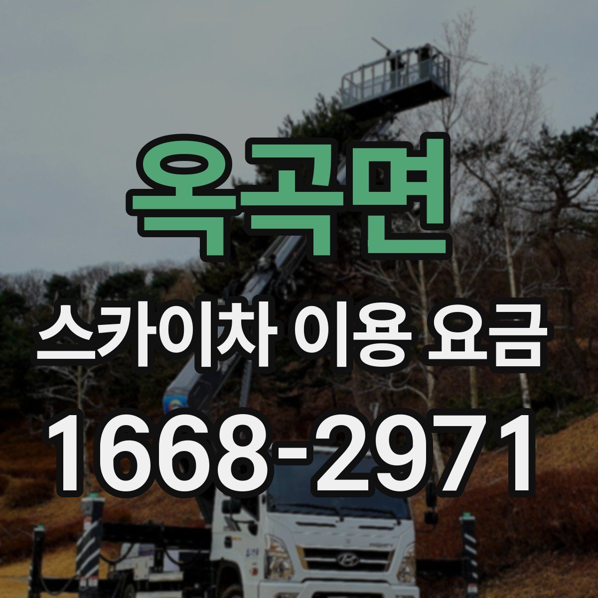 옥곡면 스카이차 이용 요금