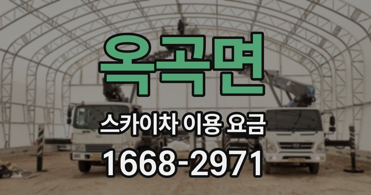 옥곡면 스카이차 이용 요금