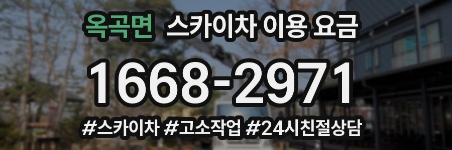 옥곡면 스카이차 이용 요금