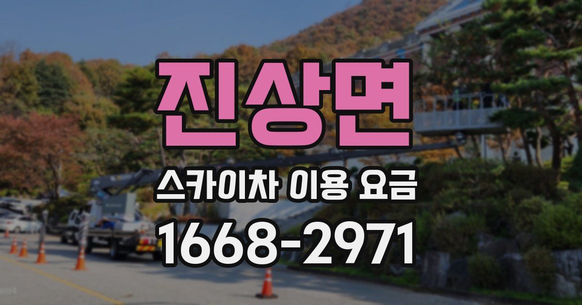 진상면 스카이차 이용 요금