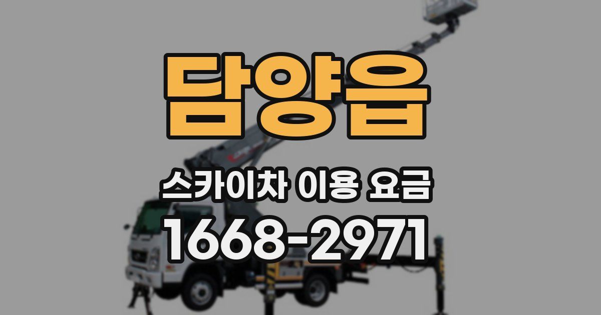담양읍 스카이차 이용 요금