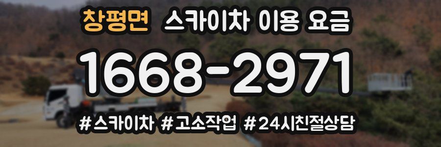 창평면 스카이차 이용 요금