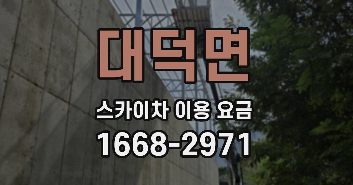 대덕면 스카이차 이용 요금