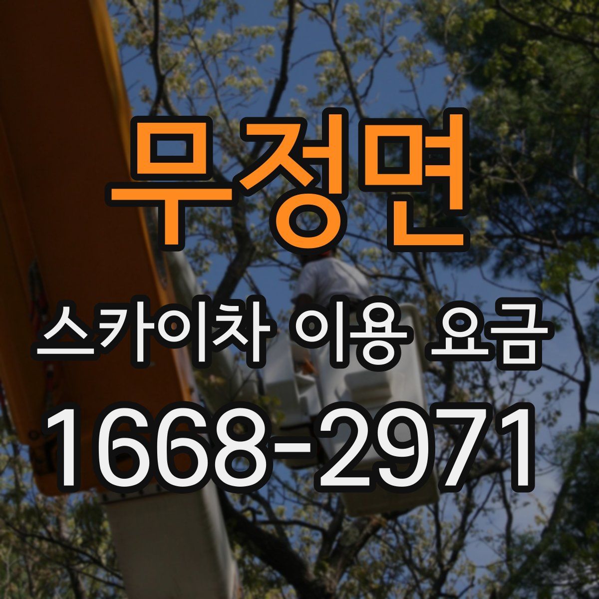 무정면 스카이차 이용 요금