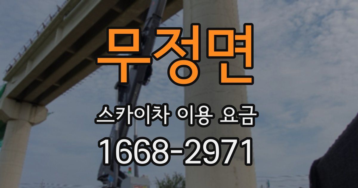 무정면 스카이차 이용 요금