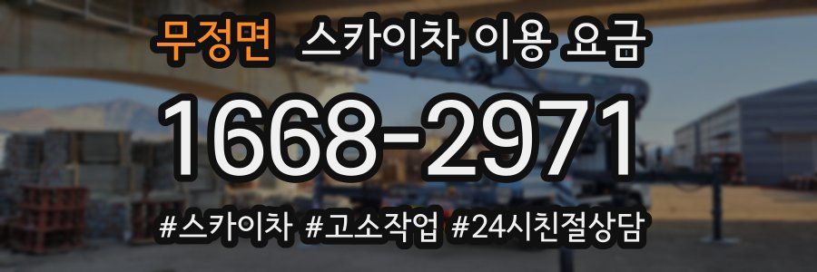 무정면 스카이차 이용 요금