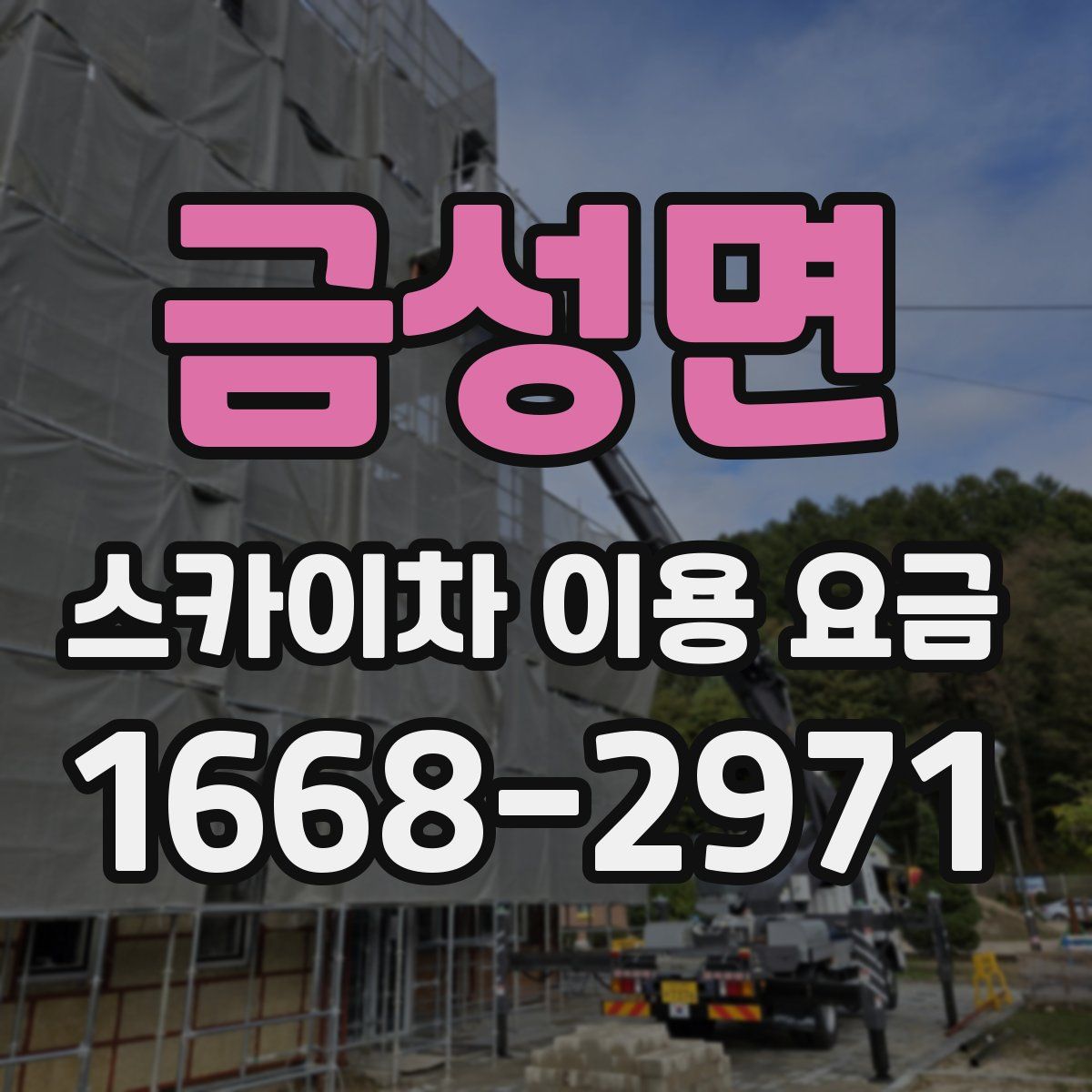 금성면 스카이차 이용 요금