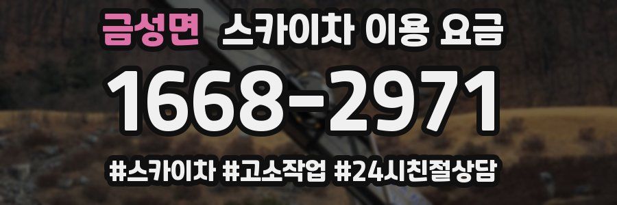 금성면 스카이차 이용 요금