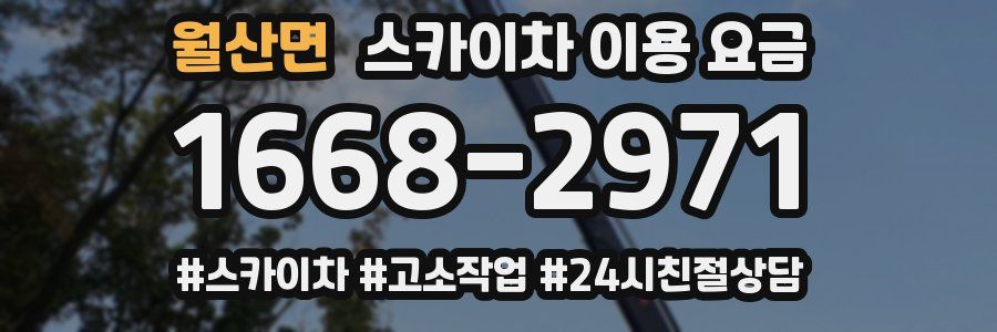 월산면 스카이차 이용 요금