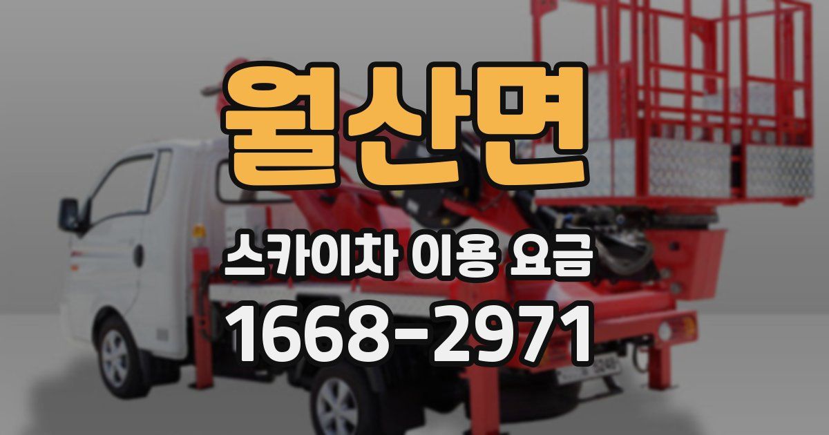 월산면 스카이차 이용 요금