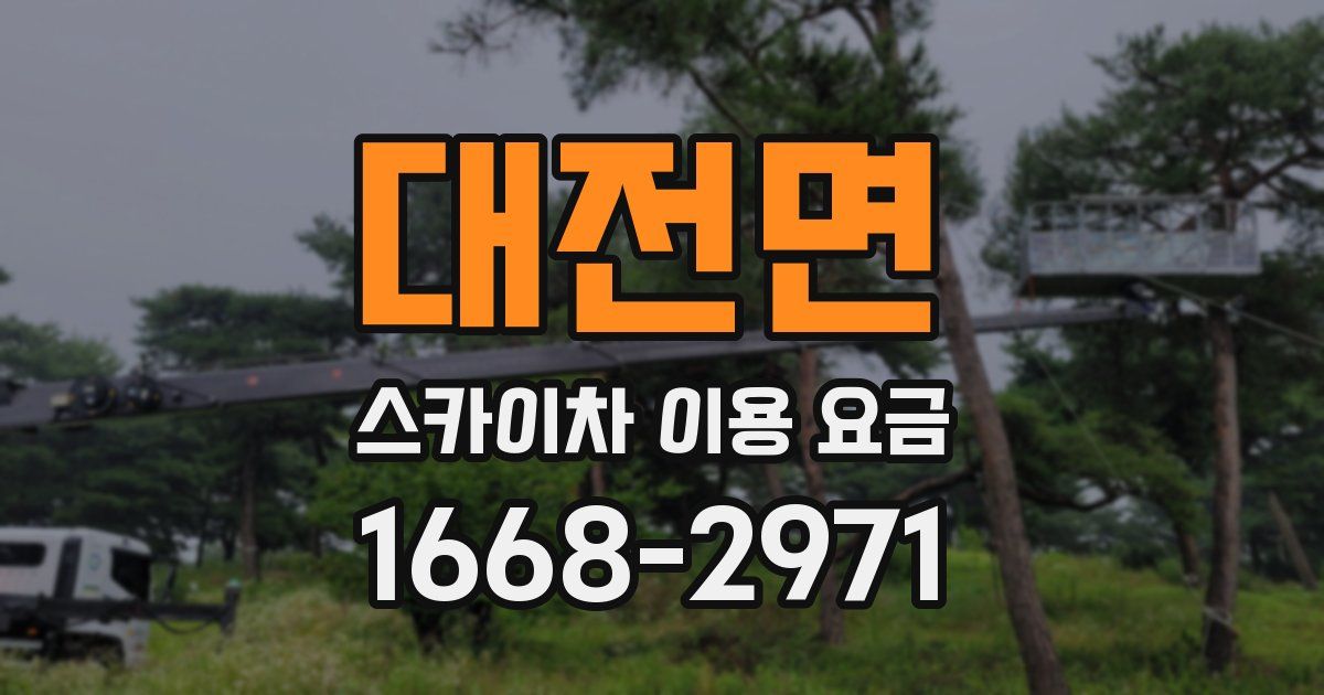 대전면 스카이차 이용 요금