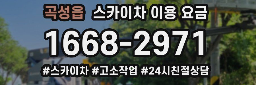 곡성읍 스카이차 이용 요금