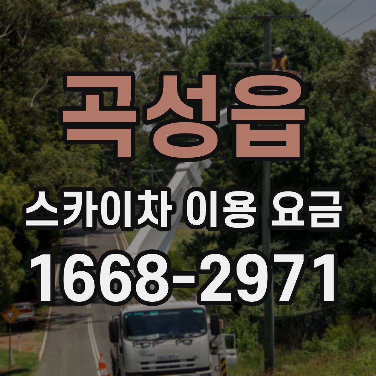 곡성읍 스카이차 이용 요금