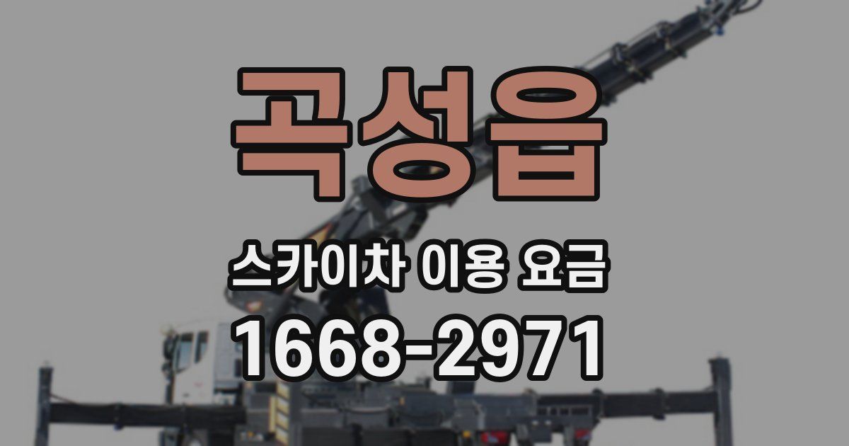 곡성읍 스카이차 이용 요금