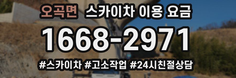 오곡면 스카이차 이용 요금