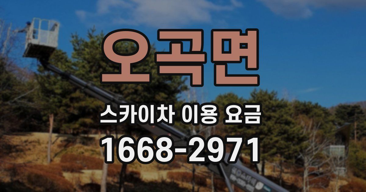 오곡면 스카이차 이용 요금