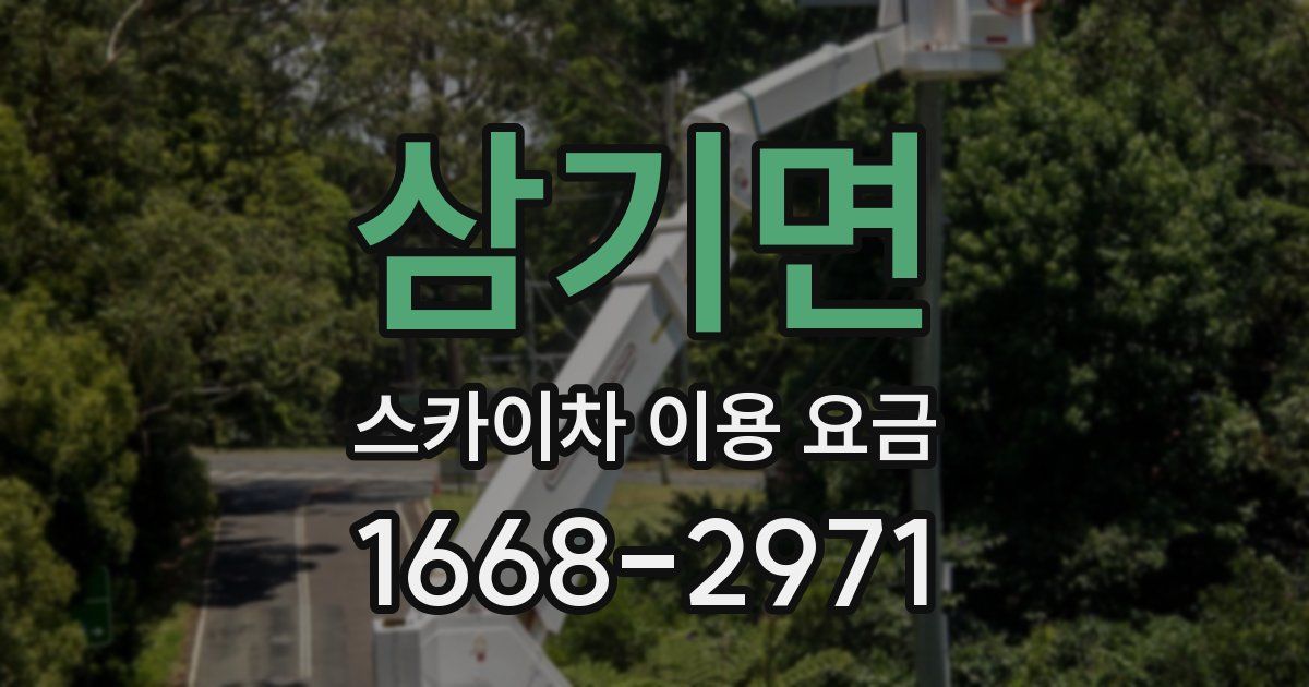 삼기면 스카이차 이용 요금