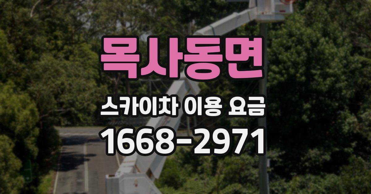 목사동면 스카이차 이용 요금