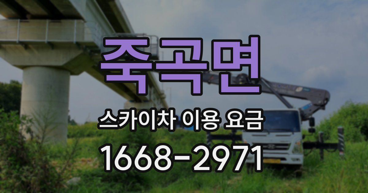 죽곡면 스카이차 이용 요금