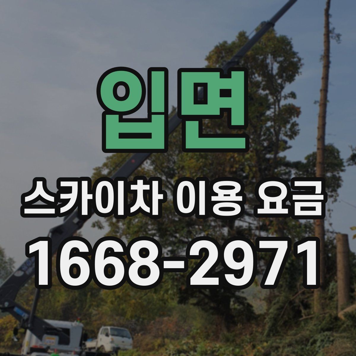 입면 스카이차 이용 요금 상담 전 준비할 내용